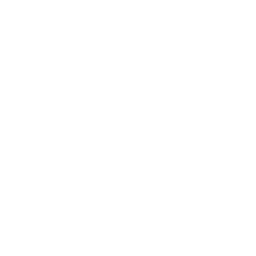 Proactive Support Icon - Brightflow