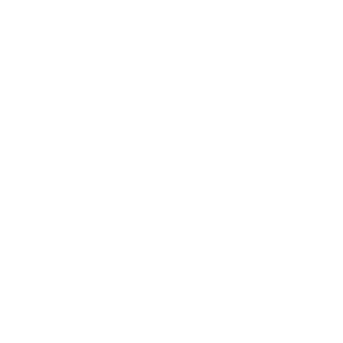 Protect Data Icon - Brightflow