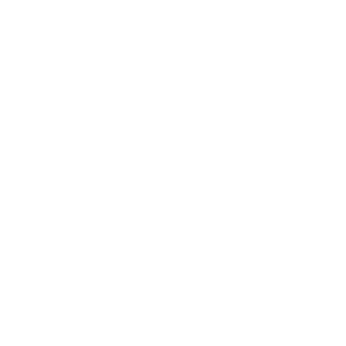 Protect Data Icon - Brightflow